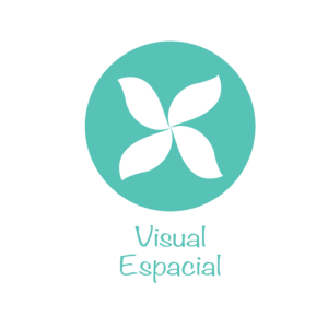 visual espacial